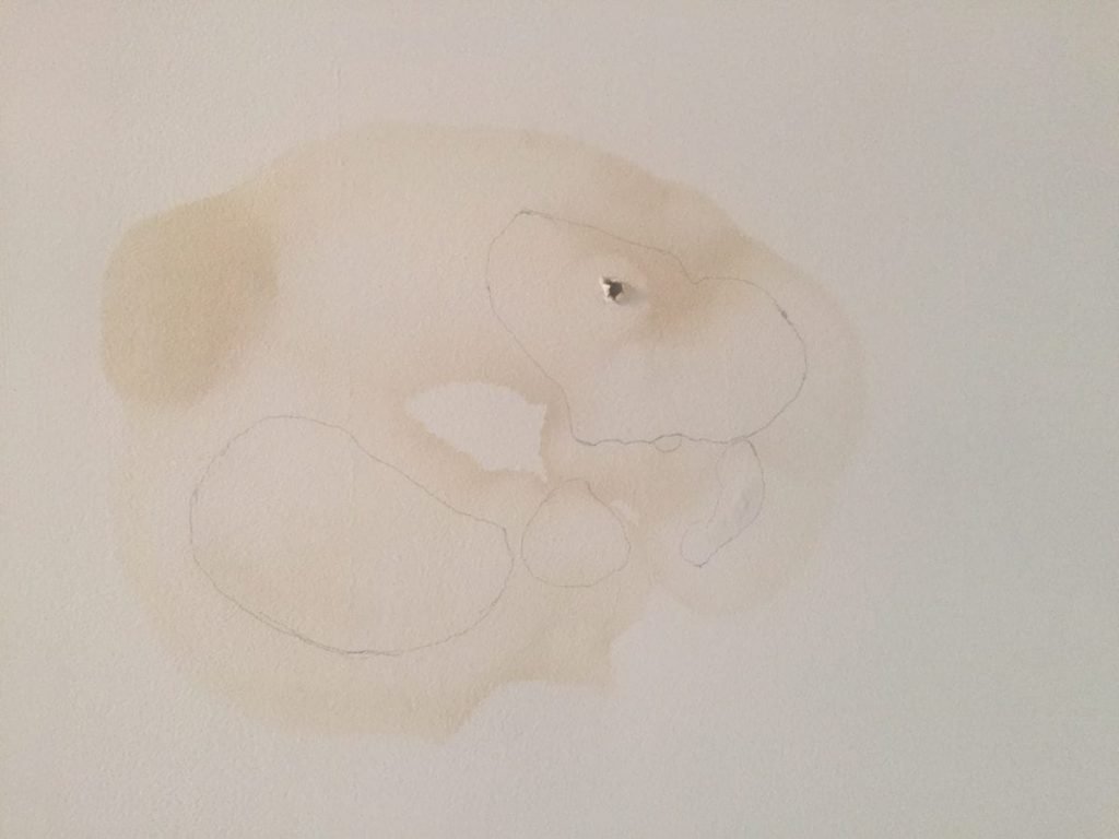 Water damage growing on ceiling 1200x900 1