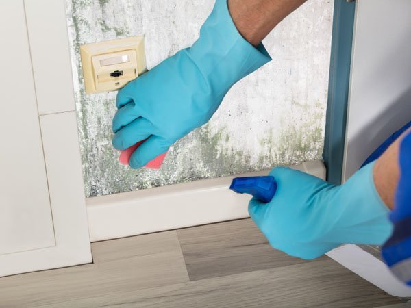 https://sherwoodpaint.com/wp-content/uploads/2019/01/Cleaning-wall-paint-with-sponge-and-mixture.jpg