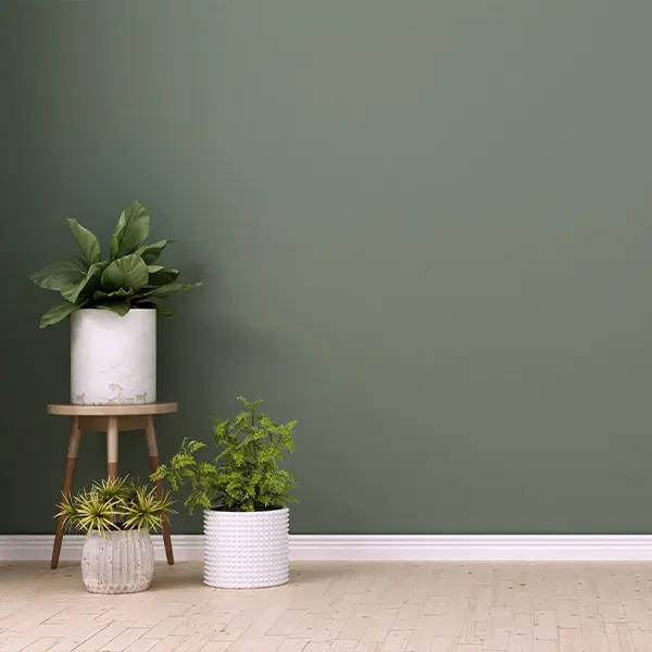 - Sherwood Painting Services